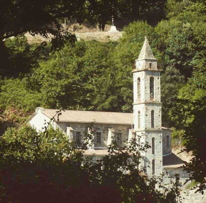 Casa Arena Authentique Maison De Village Avec Piscine Au Coeur De L'Alta Rocca - Zoza Exteriér fotografie