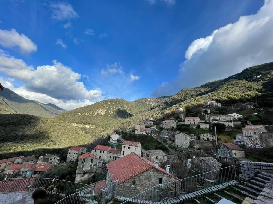 Casa Arena Authentique Maison De Village Avec Piscine Au Coeur De L'Alta Rocca - Zoza Exteriér fotografie