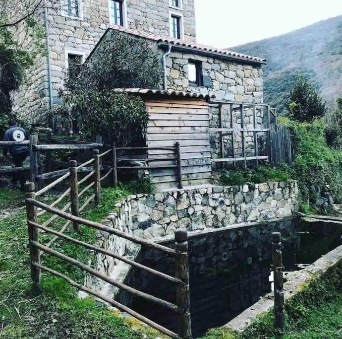 Casa Arena Authentique Maison De Village Avec Piscine Au Coeur De L'Alta Rocca - Zoza Exteriér fotografie