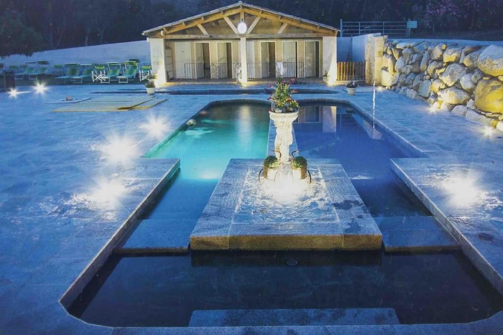 Casa Arena Authentique Maison De Village Avec Piscine Au Coeur De L'Alta Rocca - Zoza Exteriér fotografie