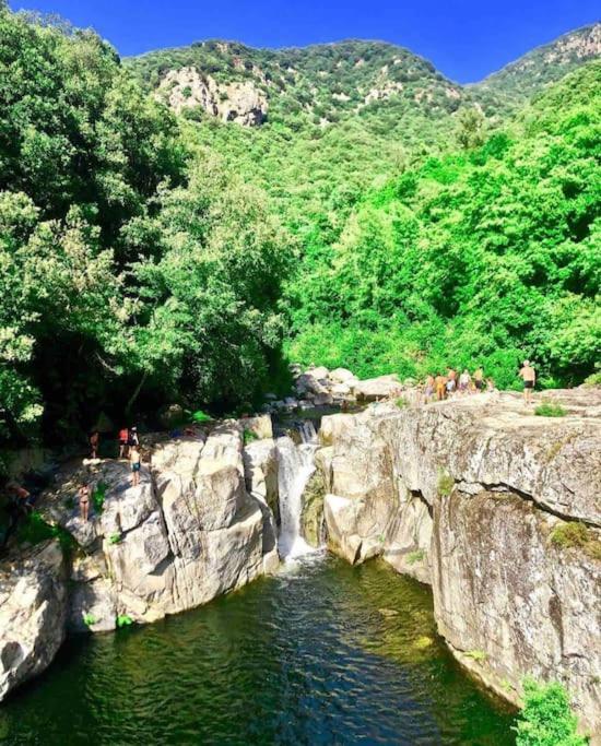 Casa Arena Authentique Maison De Village Avec Piscine Au Coeur De L'Alta Rocca - Zoza Exteriér fotografie