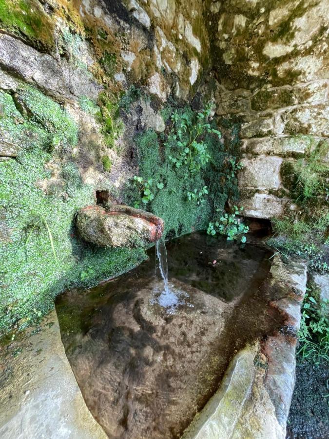 Casa Arena Authentique Maison De Village Avec Piscine Au Coeur De L'Alta Rocca - Zoza Exteriér fotografie