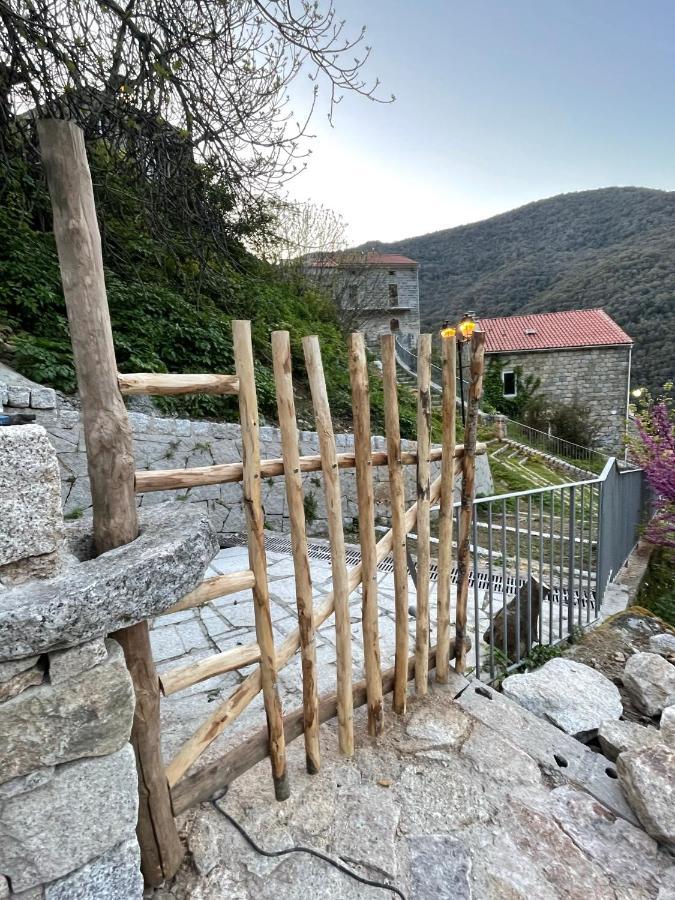 Casa Arena Authentique Maison De Village Avec Piscine Au Coeur De L'Alta Rocca - Zoza Exteriér fotografie