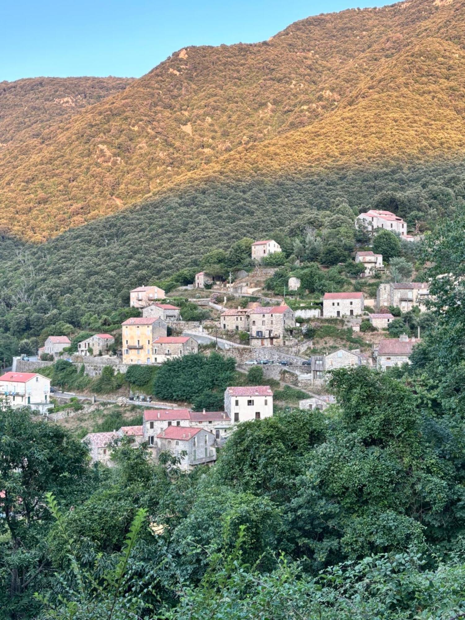 Casa Arena Authentique Maison De Village Avec Piscine Au Coeur De L'Alta Rocca - Zoza Exteriér fotografie